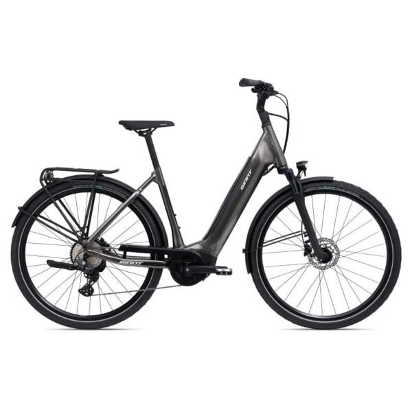 Giant DailyTour E+ 2 D LDS (RideDash Evo)