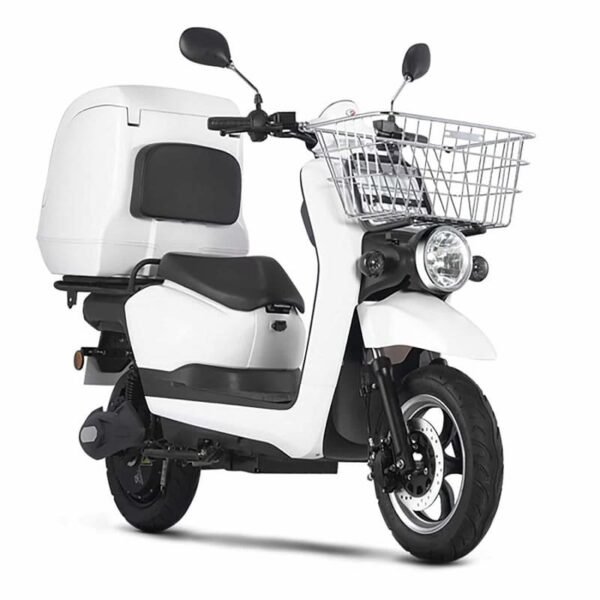 Scooter Electrique Rider Pro Cargo – Image 2